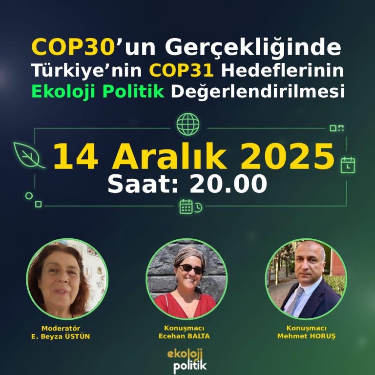 COP 30’un Gerçekliğinde Türkiye’nin COP 31 Hedeflerinin EkolojiPolitik Değerlendirilmesi