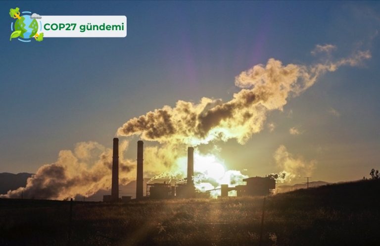 BİRLEŞMİŞ MİLLETLER İKLİM DEĞİŞİKLİĞİ KONFERANSI#COP27 | Hileyle hurdayla iklim krizinin üstesinden gelemezsiniz