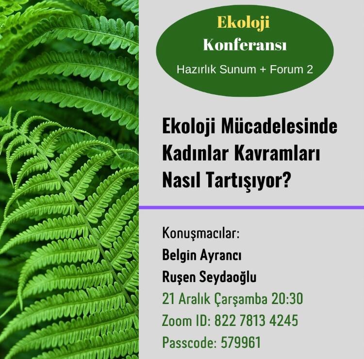 Ekoloji Mücadelesinde Kadınlar Kavramları Nasıl Tartışıyor?