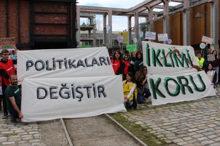 Genç İklim Hareketi: Gençlerin sesine ne zaman kulak verilecek?
