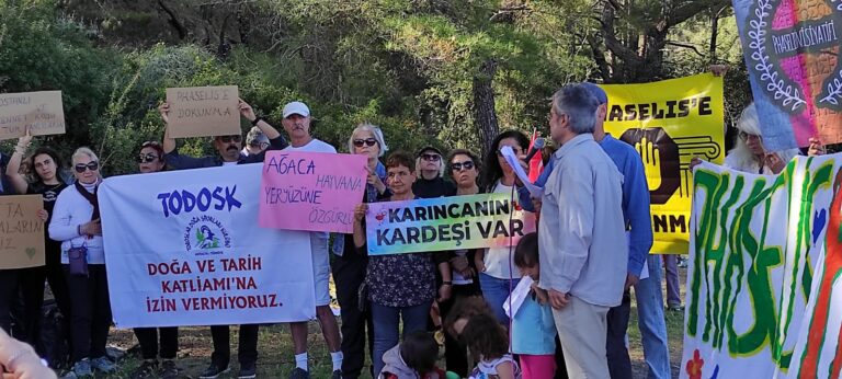 PHASELİS KORUMA ÇALIŞTAYI SONUÇ BİLDİRİSİ