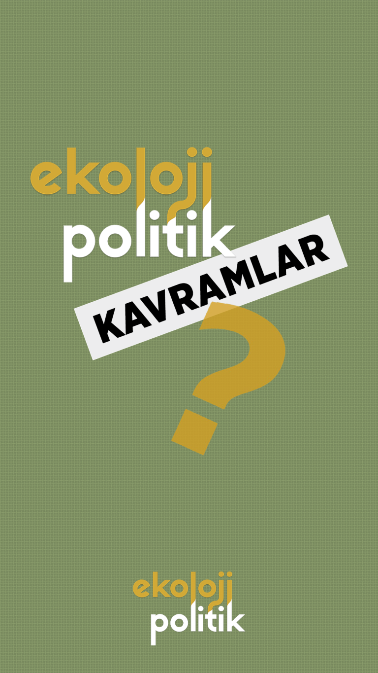 Barışın Ekolojisi